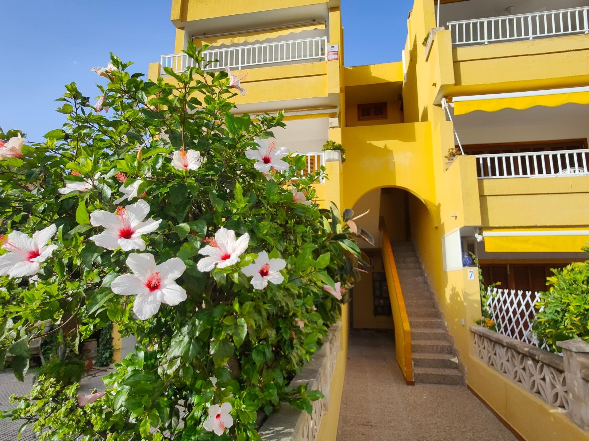 Apartment in Pto. Alcudia close to  the Beach.