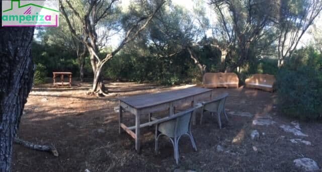 🇬🇧 Unique Opportunity in Felanitx! Rustic plot of 61,000 m² with approved project and construction already started