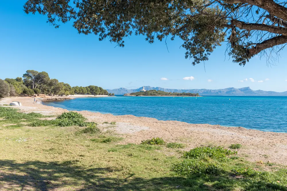 Cala y viviendas cerca de Alcanada en Alcúdia